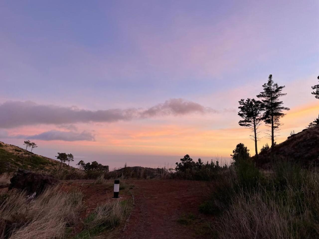 Mountain Eco Shelter 7 Hotel Funchal  Luaran gambar