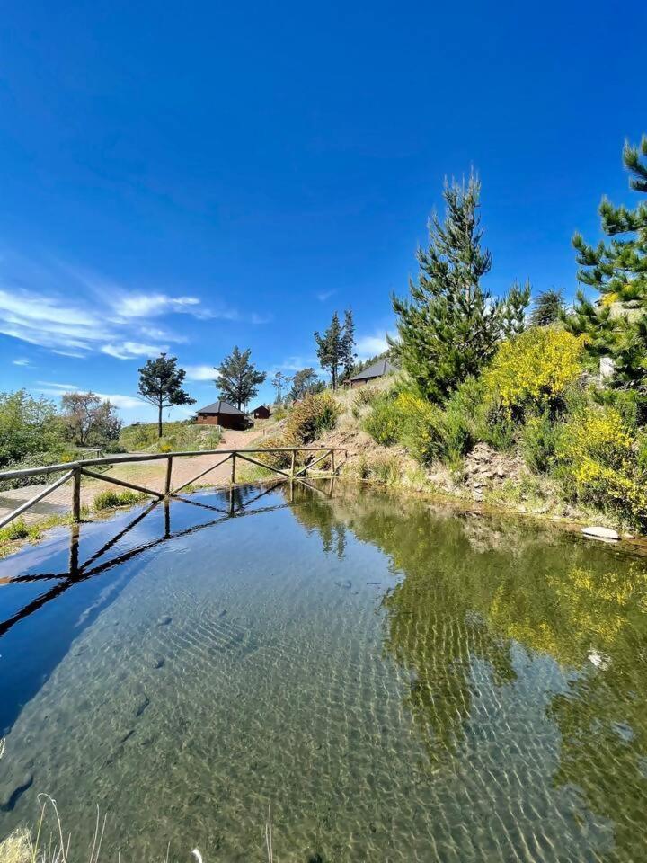 Mountain Eco Shelter 7 Hotel Funchal  Luaran gambar