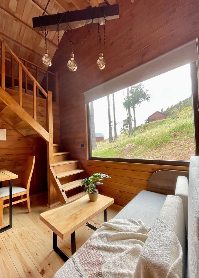 Mountain Eco Shelter 7 Hotel Funchal  Luaran gambar
